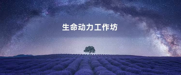 生命动力工作坊