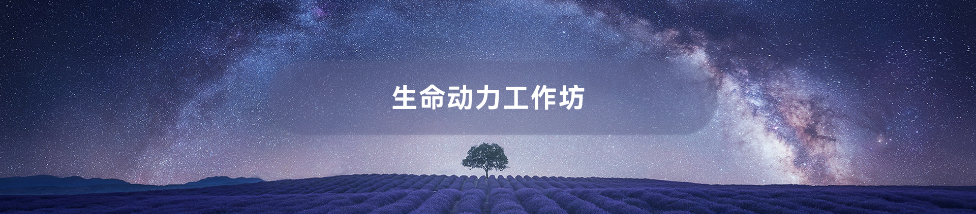 生命动力工作坊